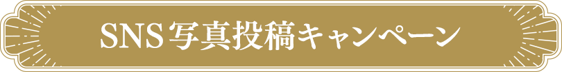 SNS写真投稿キャンペーン